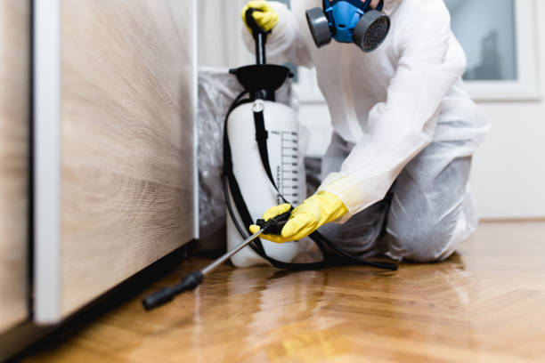 Best Emergency Pest Control  in Gibson City, IL