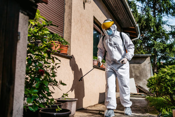 Best Pest Control for Restaurants  in Gibson City, IL