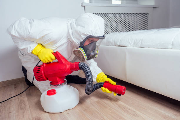 Best Insect Control  in Gibson City, IL