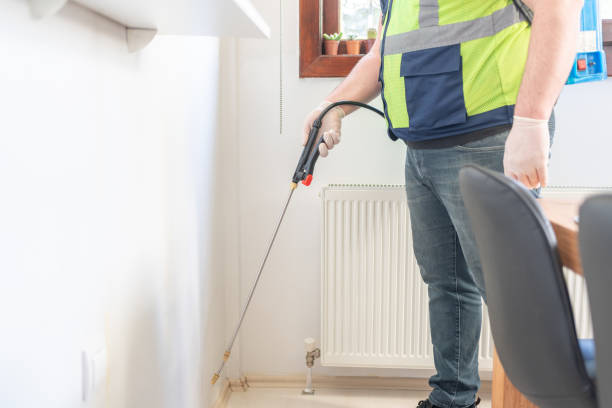 Best Rat Extermination Near Me  in Gibson City, IL