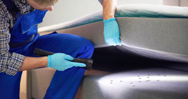 Best Ant Control Services  in Gibson City, IL