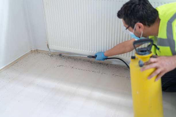 Best Affordable Pest Control Services  in Gibson City, IL