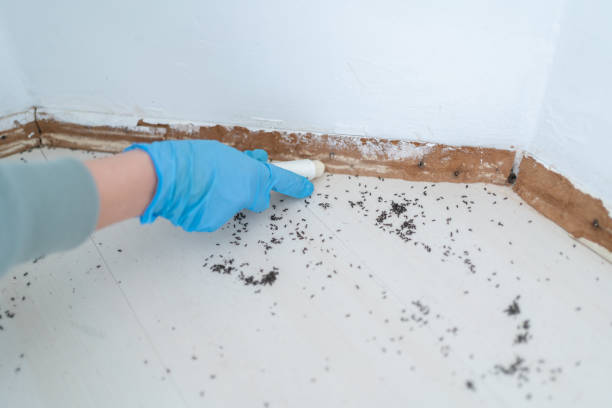 Best Pest Removal Services  in Gibson City, IL